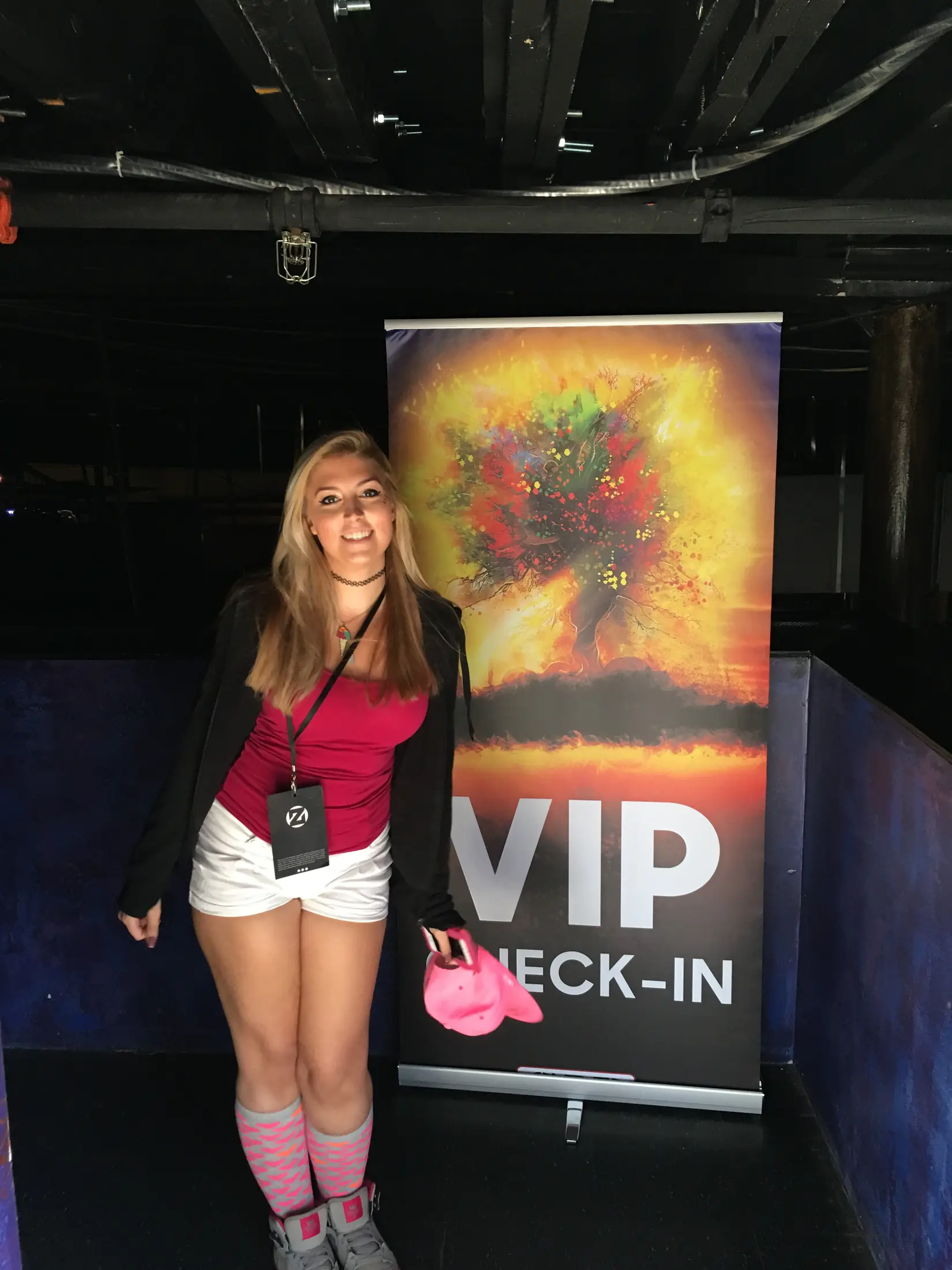 2015 Zedd
