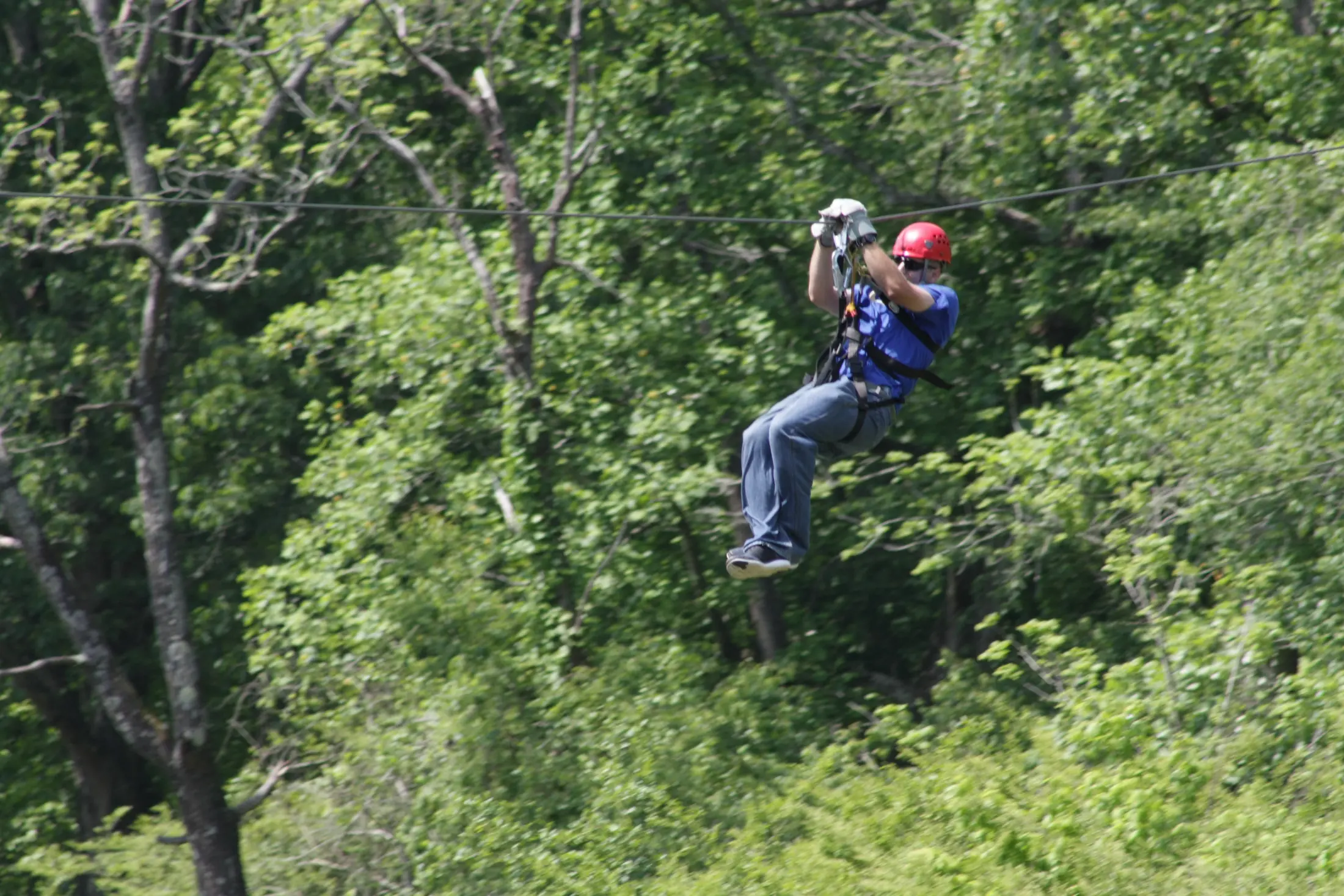 2015 Zip lining