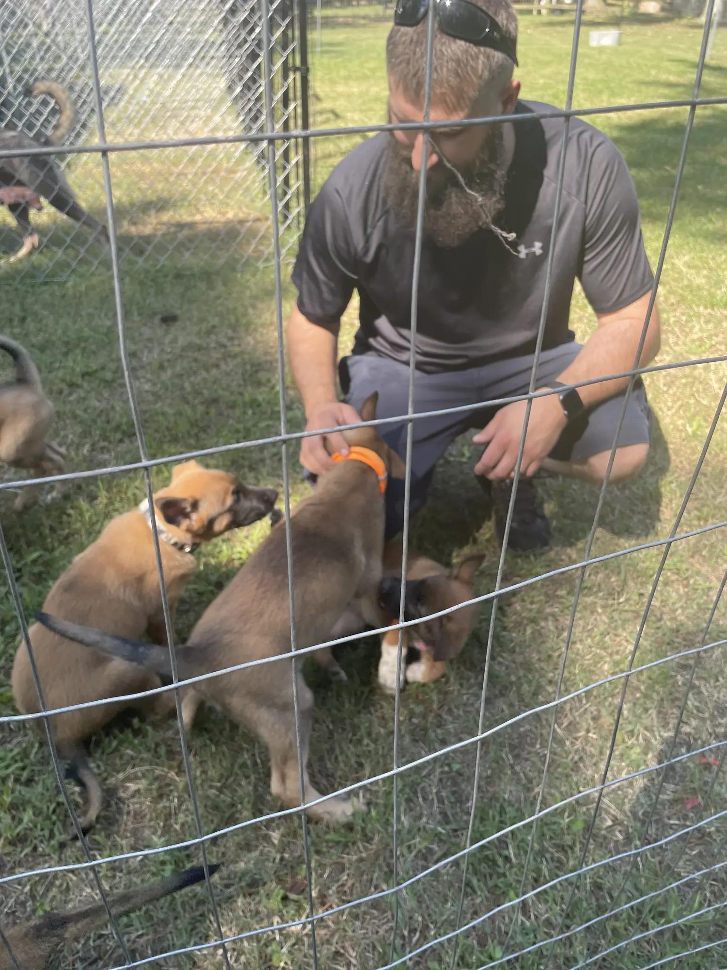 2022 pup trip